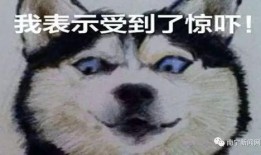 娱乐吃瓜酱偷电瓶,娱乐吃瓜酱的惊险一幕