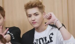 娱乐圈吃瓜任豪是谁