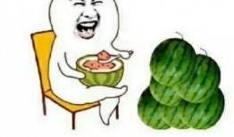 孩子吃娱乐圈的瓜