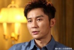 娱乐吃瓜君李晨,娱乐吃瓜界的风云人物